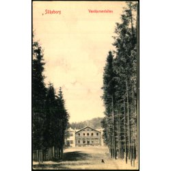 Silkeborg - Vandkuranstalten - W.K.F. 807 - Brugt