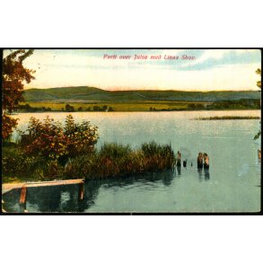 Parti over Juls� mod Linaa Skov - Alex Vincent 642 - Brugt