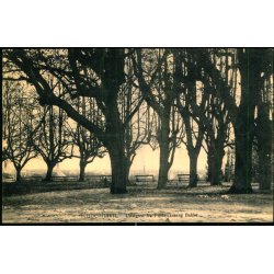 Kbenhavn - Udsigt fra Frederiksberg Bakke - Fritz Benzen 641 - Ubrugt