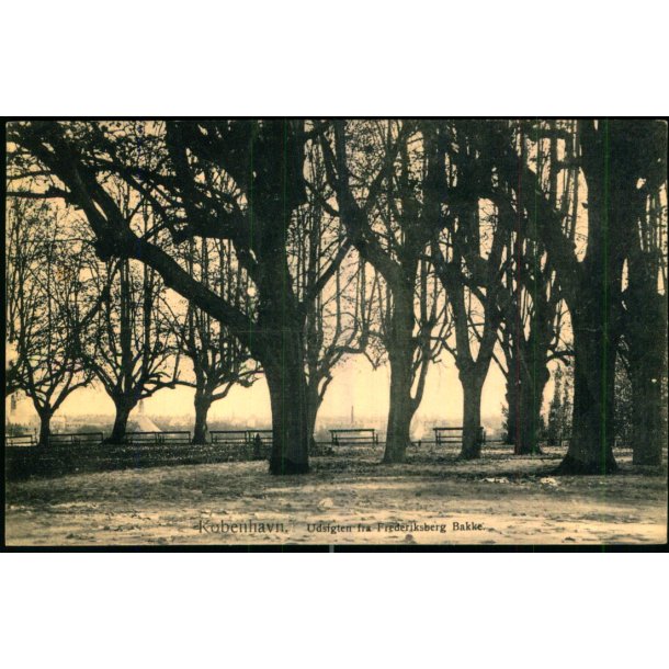 Kbenhavn - Udsigt fra Frederiksberg Bakke - Fritz Benzen 641 - Ubrugt