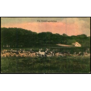 Fra Eremitagesletten - Sk. B. & Kf. 2970 - Brugt