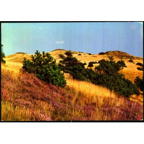 Mols Bjerge - Treh�je - Elles Offset 635 - Brugt