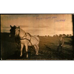 Trediekalen  paa Oleslund - Fotokort u/n - Ubrugt