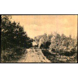 Ved Bangs H�j - Tisvilde Hegn - A. Jensens Bogh. 629 - Brugt