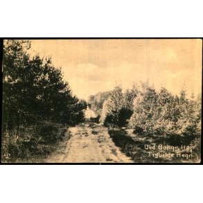 Ved Bangs H�j - Tisvilde Hegn - A. Jensens Bogh. 629 - Brugt