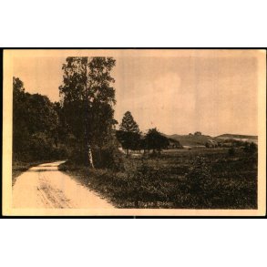 Ved Tisvilde Bakker - A. Jensens Bogh. 50328 - Ubrugt