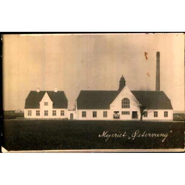 Mejeriet stervang 1919 - Fotokort u/n - Ubrugt