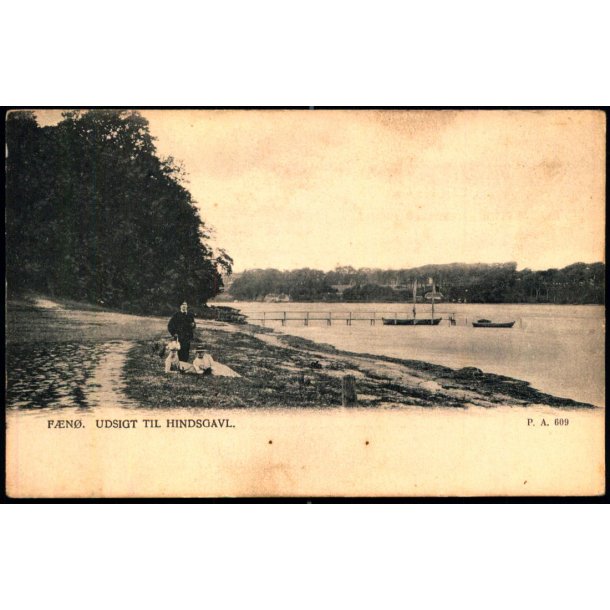 Fn - Udsigt til Hindsgavl - P.A. 609 - Ubrugt