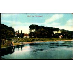 Parti fra Hindsgavl - Alex Vincent 725 - Ubrugt