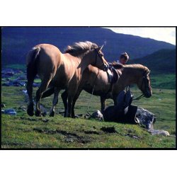 Ross i Froyum - Postverk Froya u/n - Brugt