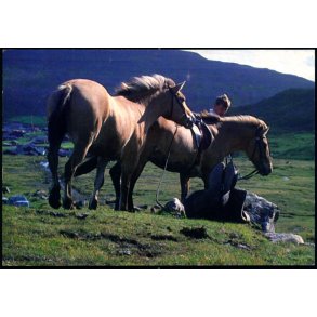 Ross i Froyum - Postverk Froya u/n - Brugt