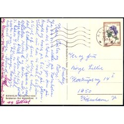 Bornholm - Hammershus - Colbergs Bogh. 8233 - Brugt