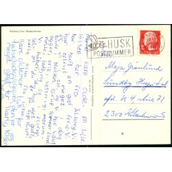 Aalborg Zoo - Restaurant - Papirgaarden 20178-5 - Brugt