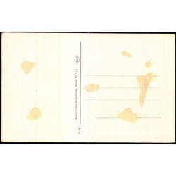 Skagen - Klitgrden - ROK 34797 - Ubrugt - Har vret klbet op !