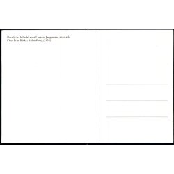 Detalje fra Billedsk�rer Lorentz altertavle i Vor Frue Kirke - Kalundborg u/n - Ubrugt