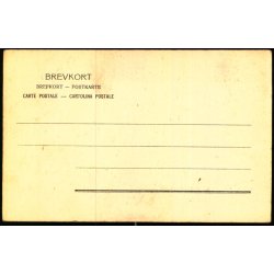 Fn - Udsigt til Hindsgavl - P.A. 609 - Ubrugt