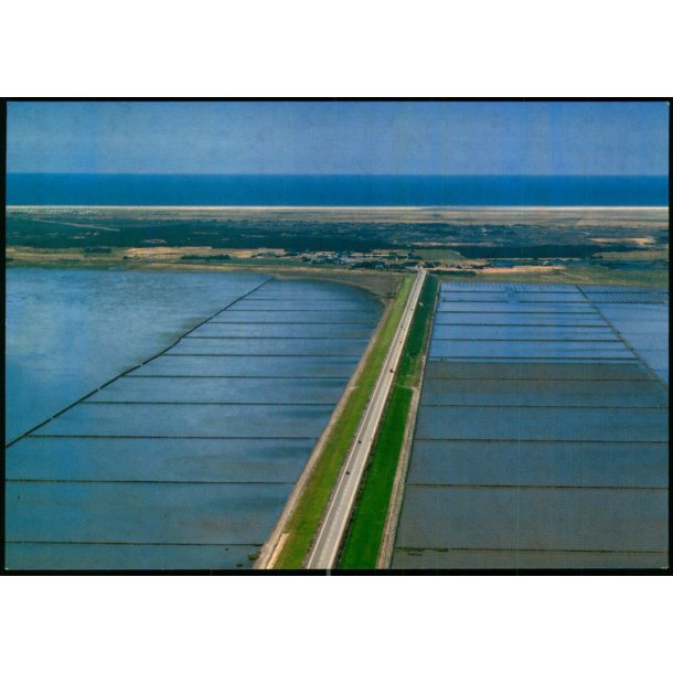 R�m�d�mningen - Trojaborg R�M 18 - Ubrugt