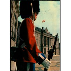 K�benhavn - Vagtparaden paa Amalienborg - Stender 49 101/98