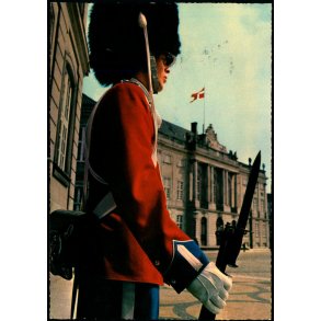 K�benhavn - Vagtparaden paa Amalienborg - Stender 49 101/98