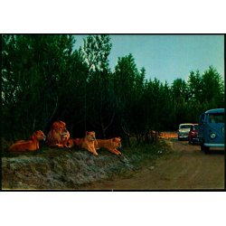 Vejle - Zoo - L�veparken   - Vejle Papir 7 - Ubrugt