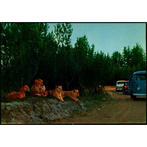 Vejle - Zoo - L�veparken   - Vejle Papir 7 - Ubrugt