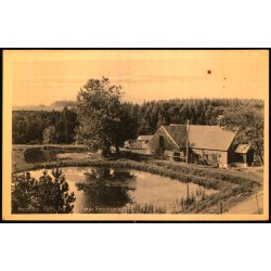 Holstebro - Parti fra Fr�jk Fiskepark - Stender 40268 - Ubrugt