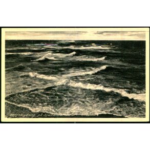 B�lgebrydning p� Sj�llands Odde - S. Bay  7644 - Ubrugt