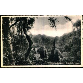 Paradisdalen - Tisvilde Hegn - E. Ramlaus Bogh. 3987 - Ubrugt