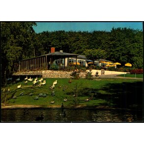 Aalborg Zoo - Restaurant - Papirgaarden 20178-5 - Brugt