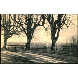 Kbenhavn - Udsigt fra Frederiksberg Bakke - Th. Cohrt  2538  - Brugt