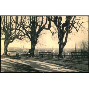 Kbenhavn - Udsigt fra Frederiksberg Bakke - Th. Cohrt  2538  - Brugt