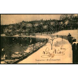 Kbenhavn - Svanerne i rstedsparken - u/n - Brugt