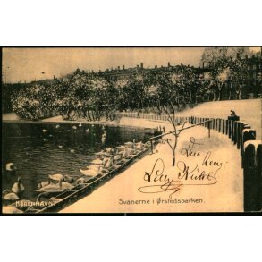Kbenhavn - Svanerne i rstedsparken - u/n - Brugt