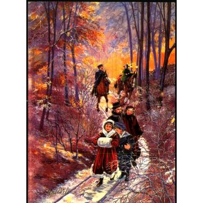 Birgit Helen - Pobra 5956 - Brugt