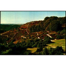 Rebild - Stier i Nationalparken - Stender 149 619 017 - Ubrugt