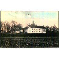 H�gholt - C. St. 3996 - Ubrugt