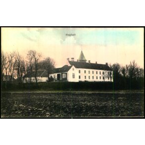 H�gholt - C. St. 3996 - Ubrugt