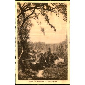 Udsigt fra Bangs H�j - Tisvilde Hegn - S. Nielsen 47179 - Brugt