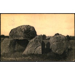 K�mpeh�jen i Vester Skerninge - 27695 - Brugt