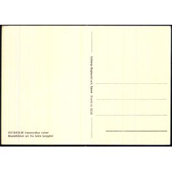 Bornholm - Hammershus - Colbergs Bogh. 8218 - Ubrugt