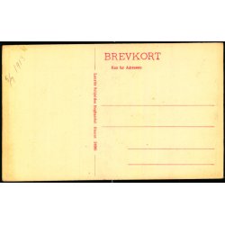 Skagen - Badehotellet paa Grenen -  Lauris Schjeldes Bogh. 24966 - Ubrugt