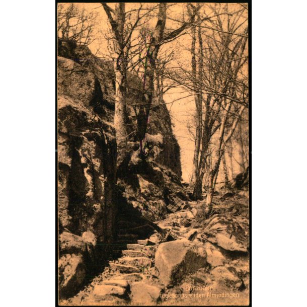 Bornholm - Fuglesangsrenden - Almindingen - Rnne Bogh. 51032 - Brugt