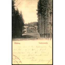 Silkeborg - Vandkuranstalten - W.K.F. 1010 - Ubrugt