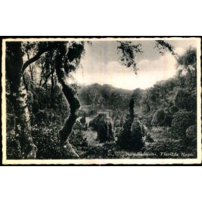 Paradisdalen - Tisvilde Hegn - E. Ramlaus Bogh. 3987 - Brugt