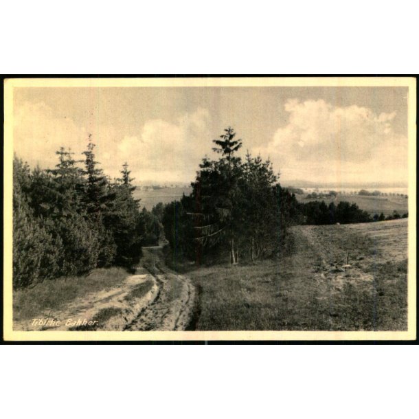 Tibirke Bakker - Rudolf Olsen 8554 - Brugt