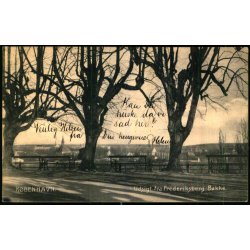 Kbenhavn - Udsigt fra Frederiksberg Bakke - C. St. 523  - Brugt