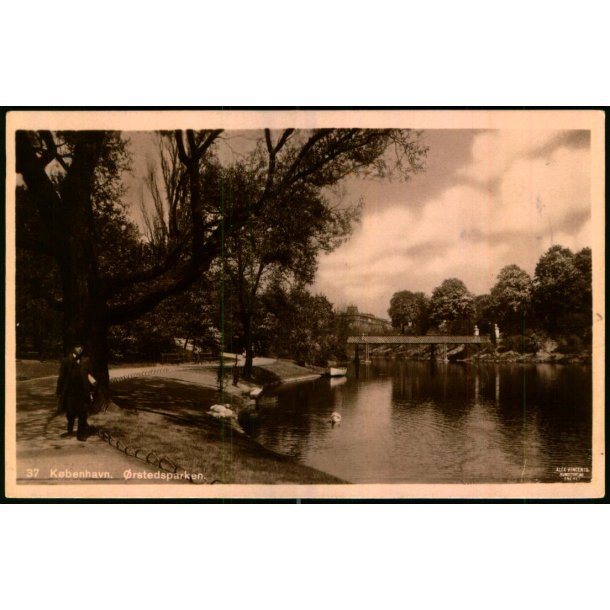 Kbenhavn - rstedsparken - Alex Vincent 37 - Brugt
