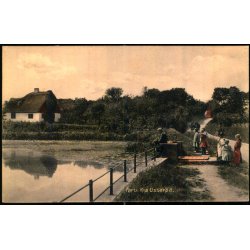 Parti fra Usser�d - Stender 17637 - Ubrugt