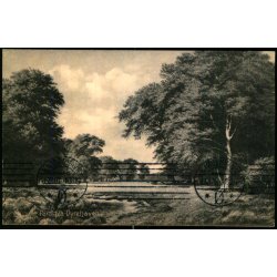 Parti fra Dyrehaven - Stender 3422 - Brugt