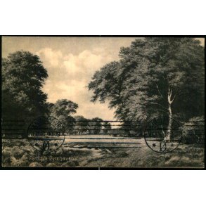 Parti fra Dyrehaven - Stender 3422 - Brugt